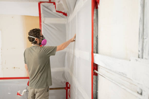 Best Indoor Air Quality Assessment  in Strawberry Point, IA