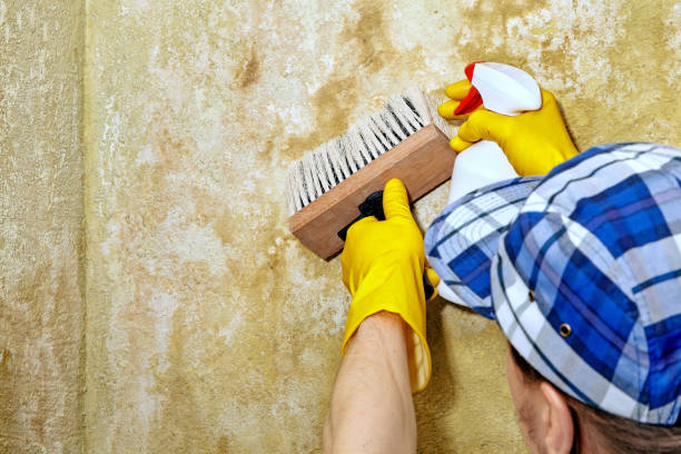 Best Indoor Air Quality Assessment  in Strawberry Point, IA