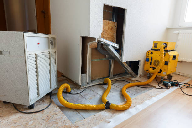 Best Basement Mold Removal  in Strawberry Point, IA